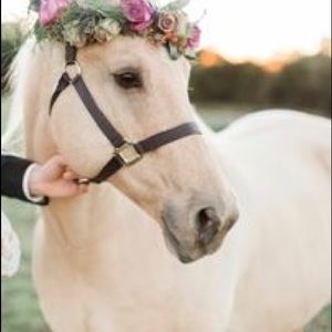 Meet your Posher, Jaycee